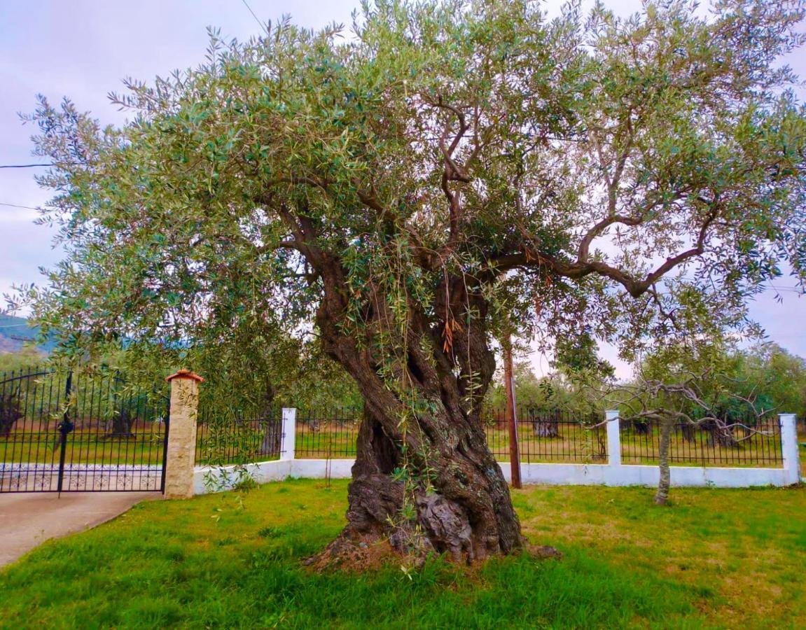 Villa Calypso Skala Rachoni  المظهر الخارجي الصورة