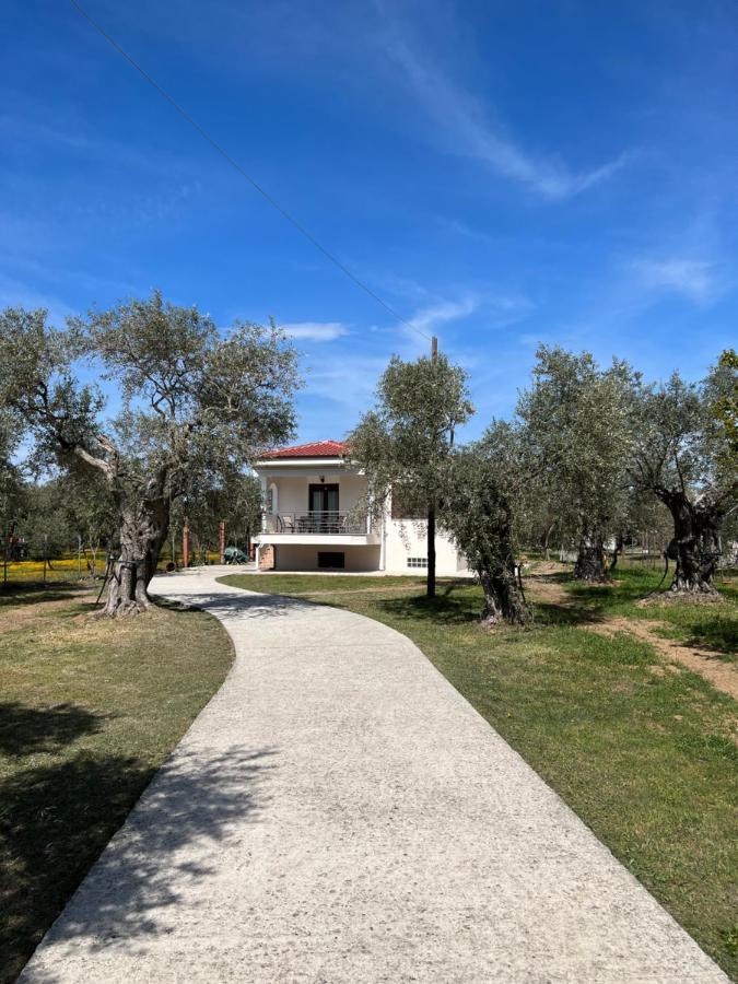 Villa Calypso Skala Rachoni  المظهر الخارجي الصورة