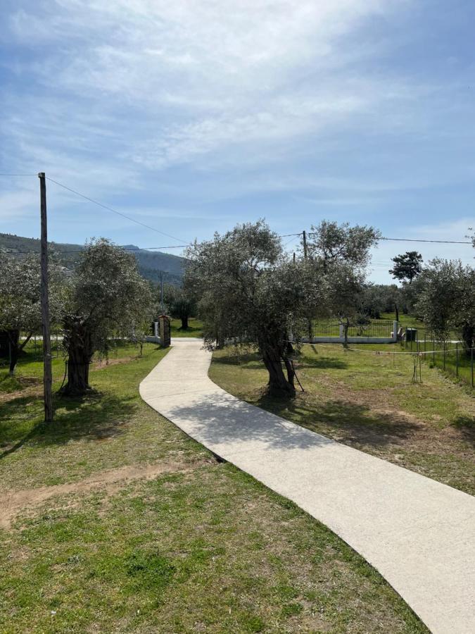 Villa Calypso Skala Rachoni  المظهر الخارجي الصورة